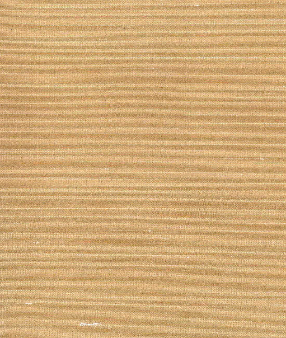 DEDAR | Drusilla Wall