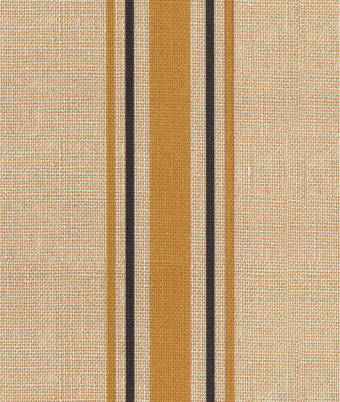 DEDAR | Library Wall