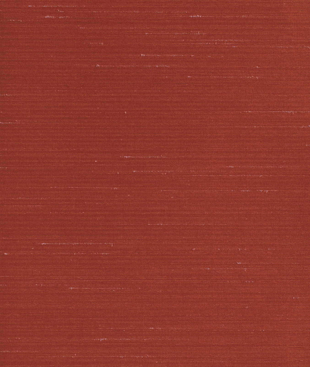 DEDAR | Sibilla Wall