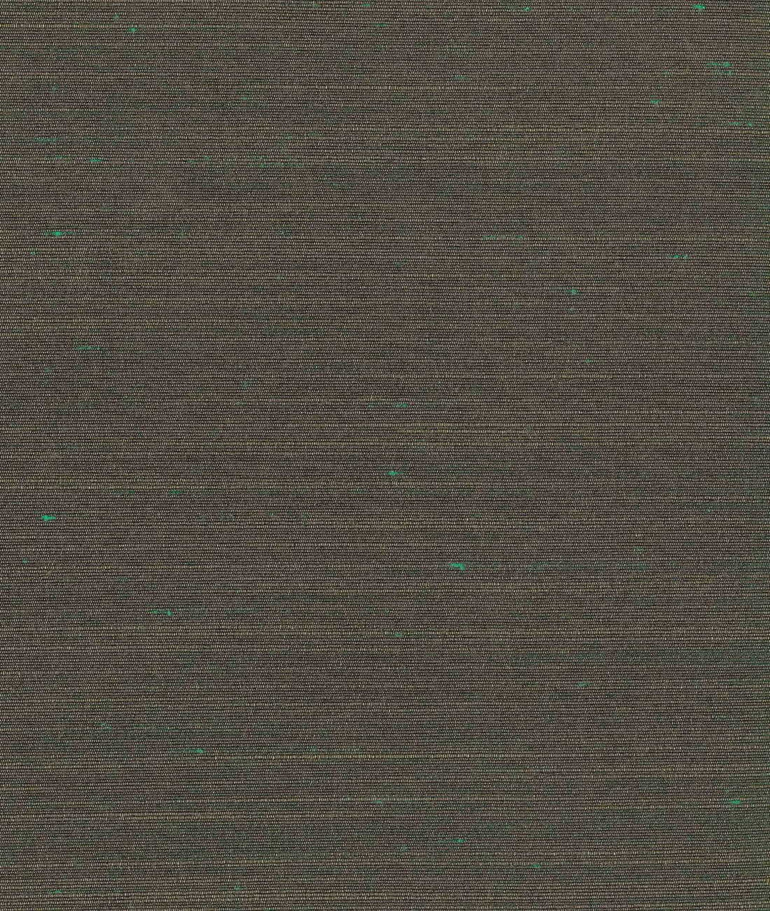 DEDAR | Drusilla Wall