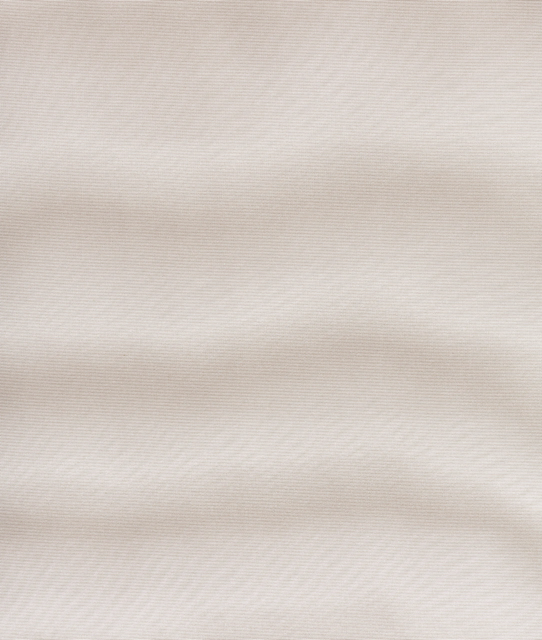 DEDAR | Viridiana Wall