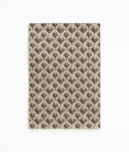 DEDAR | Coriandoli