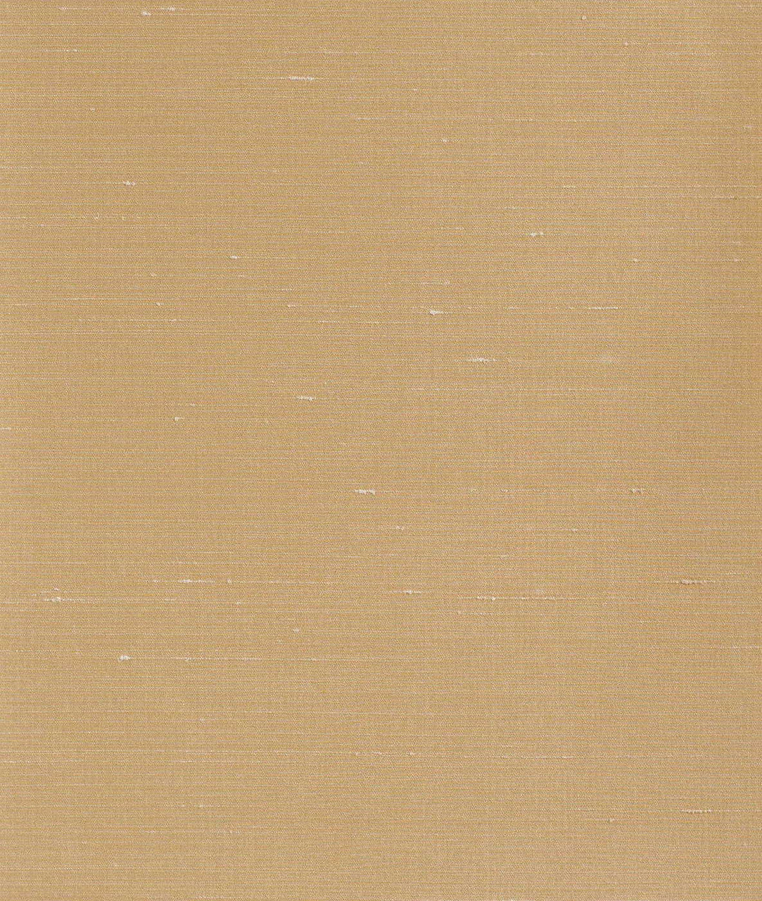 DEDAR | Sibilla Wall