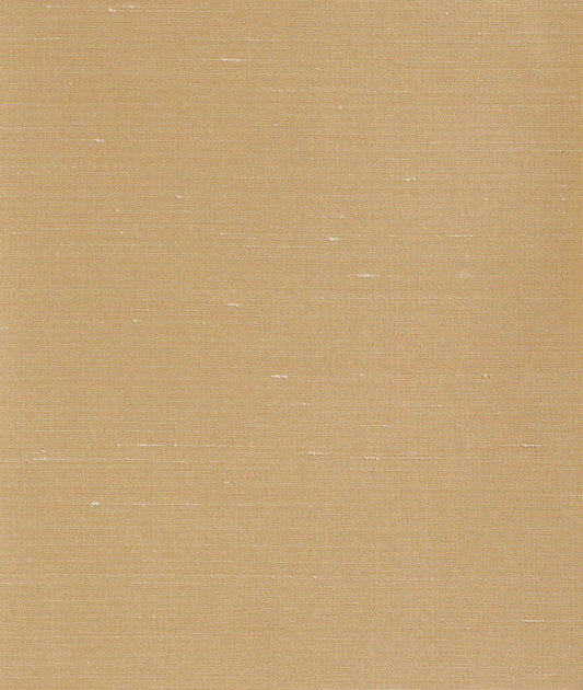 DEDAR | Sibilla Wall