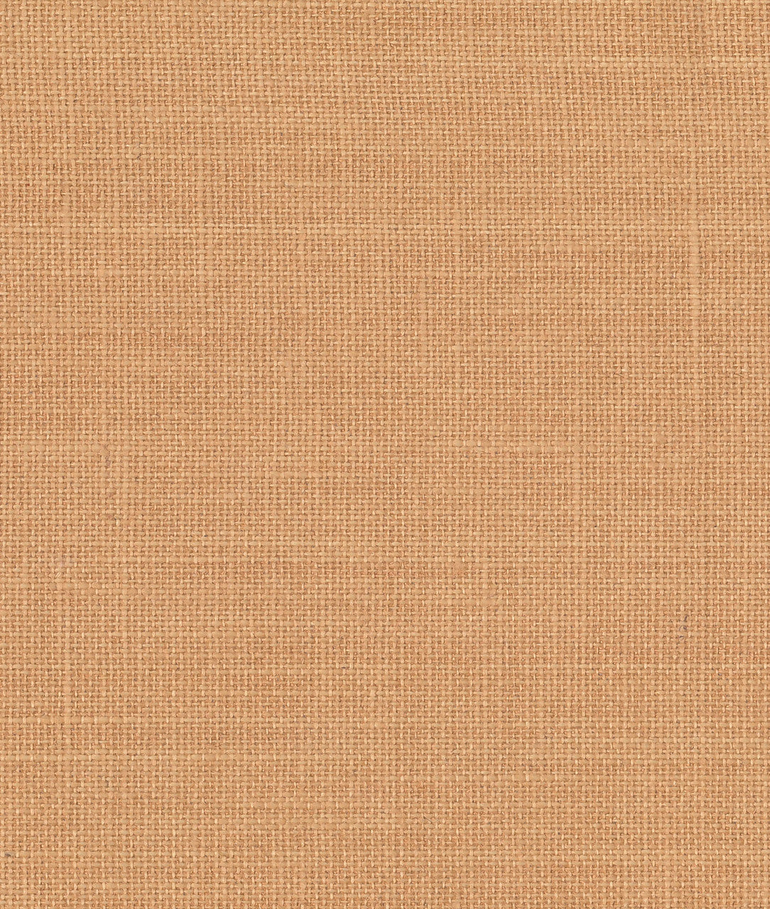 DEDAR | Toile Bâche Wall