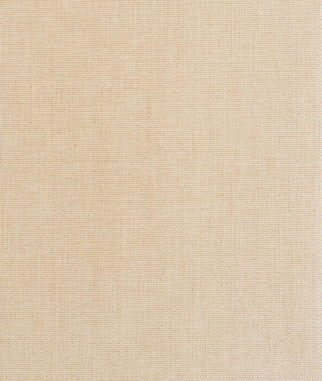 DEDAR | Didgeridoo Wall