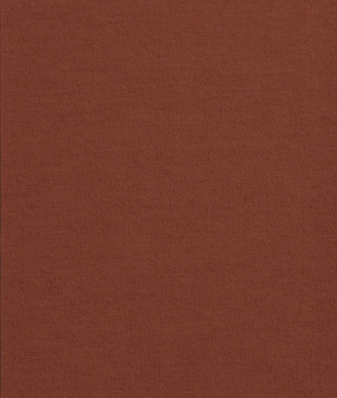 DEDAR | No Excuses Wall