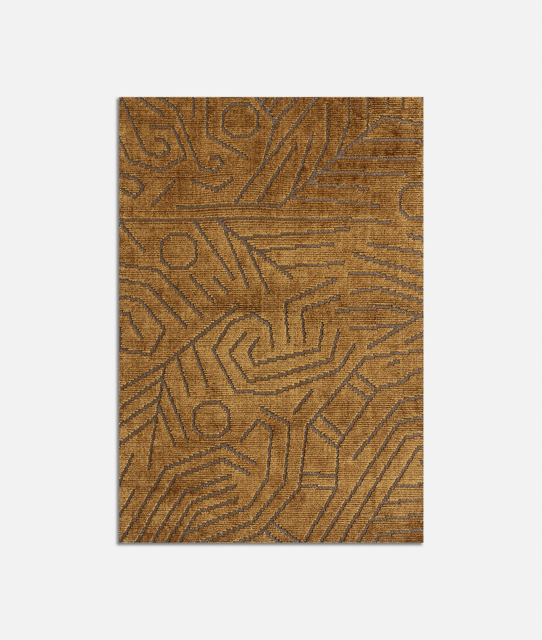 DEDAR | Darwinista