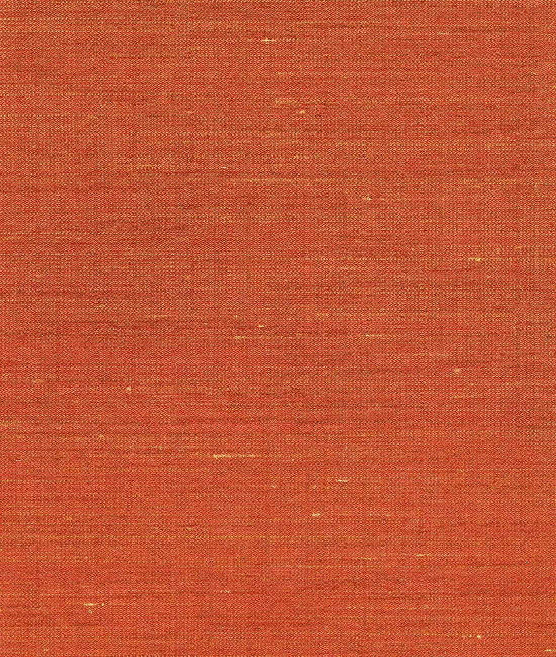 DEDAR | Drusilla Wall