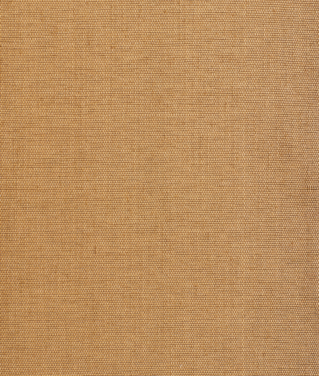 DEDAR | Didgeridoo Wall