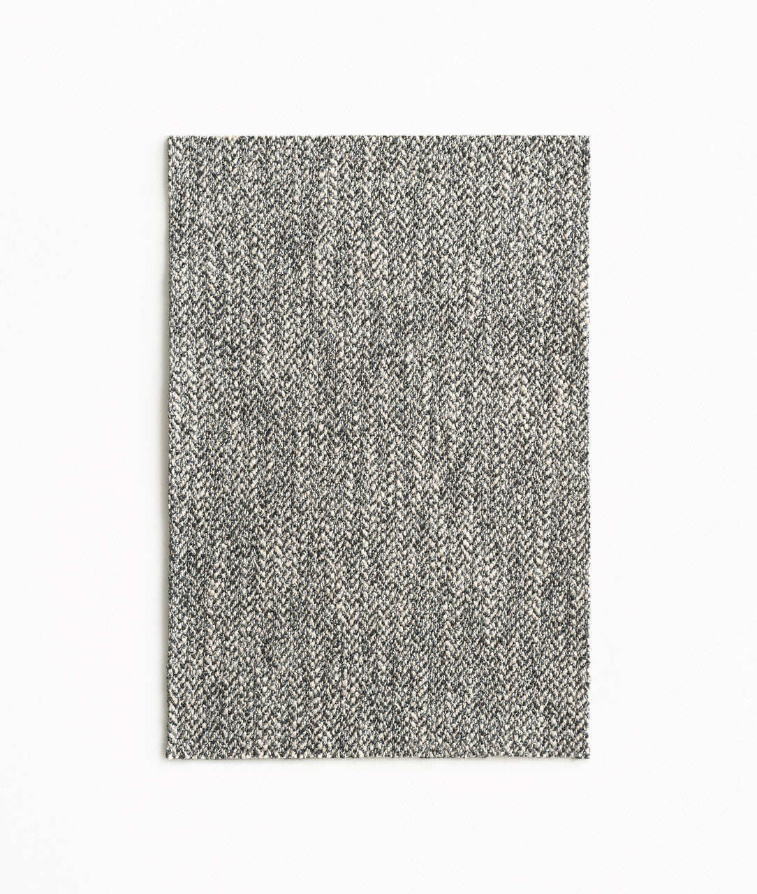 DEDAR | Spinone