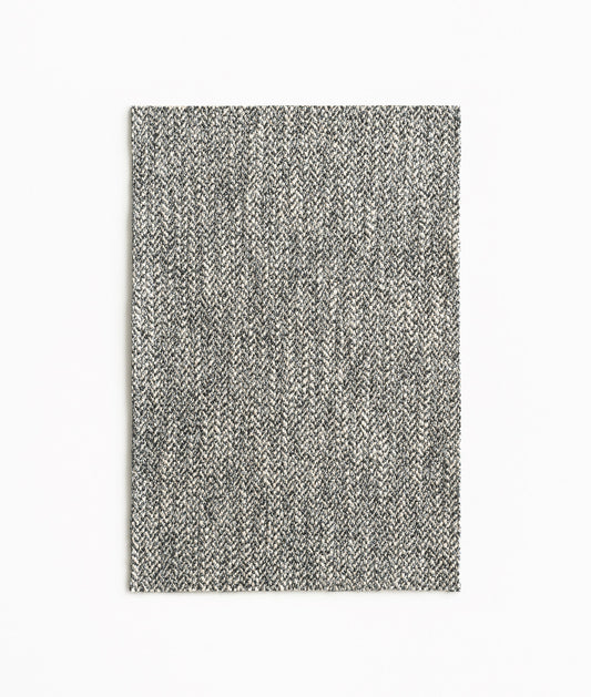 DEDAR | Spinone