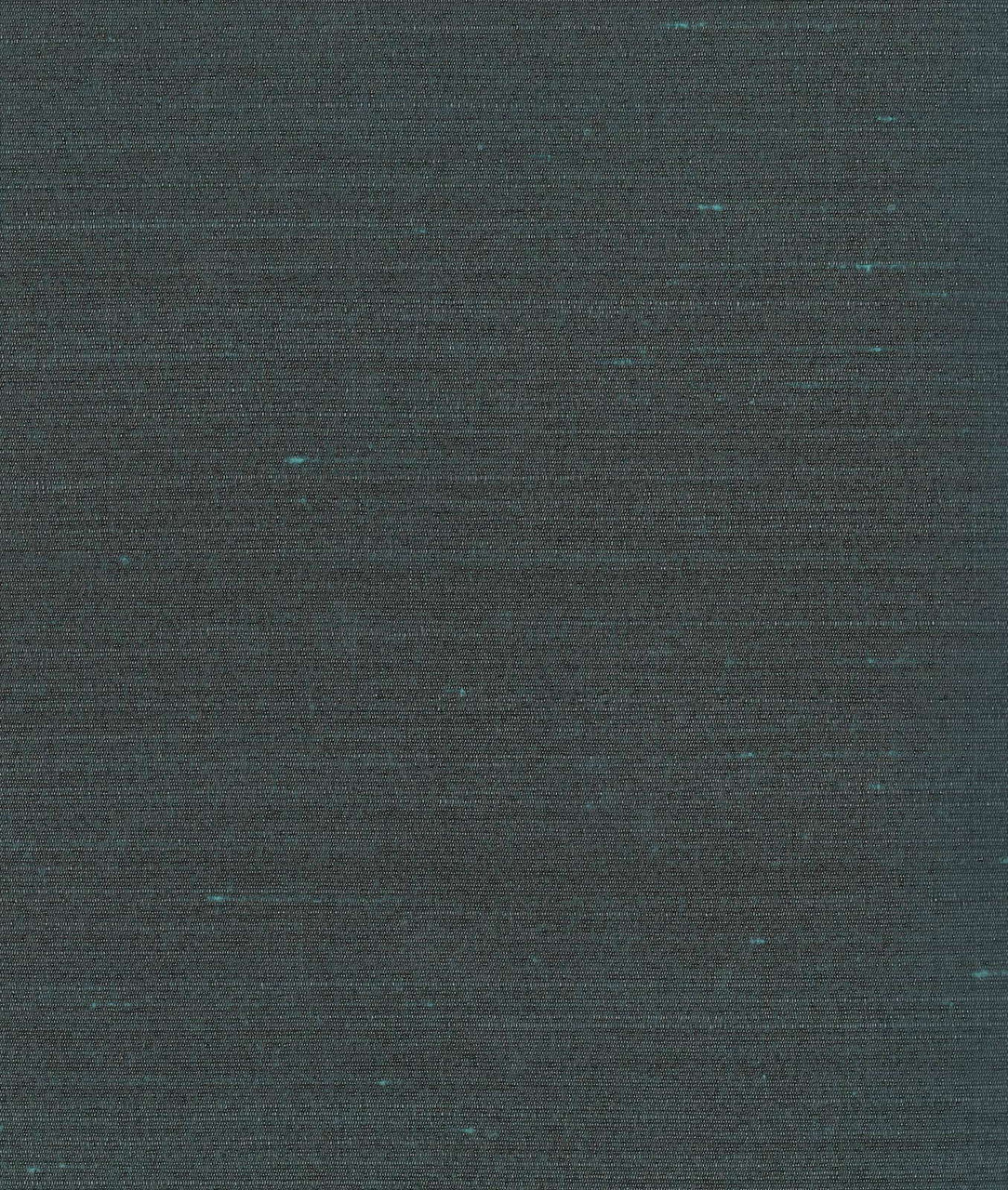 DEDAR | Drusilla Wall