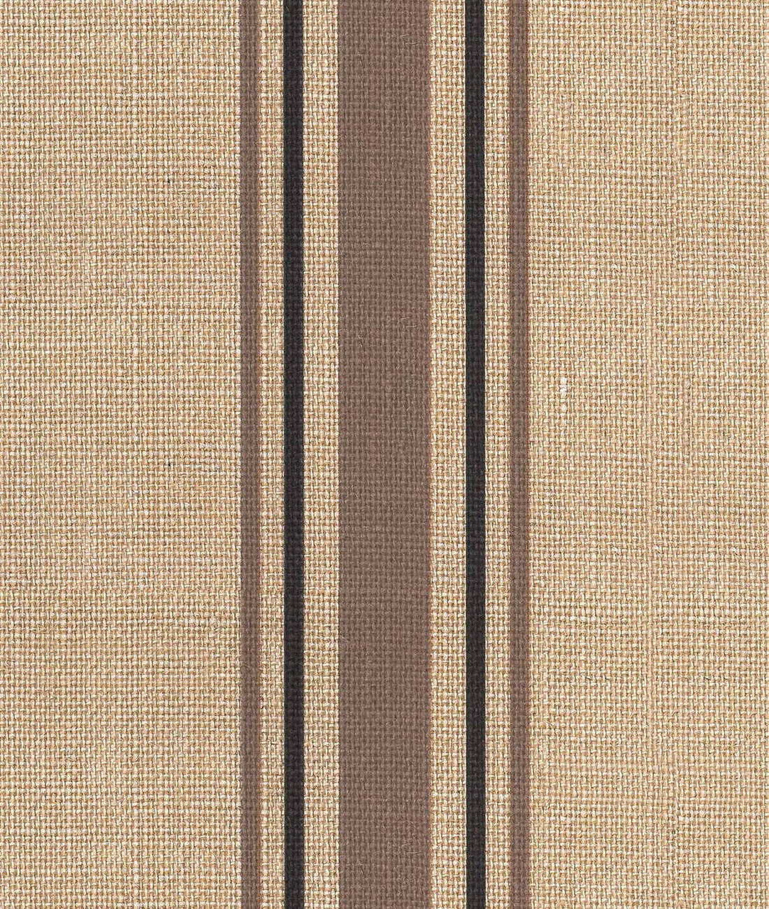 DEDAR | Library Wall
