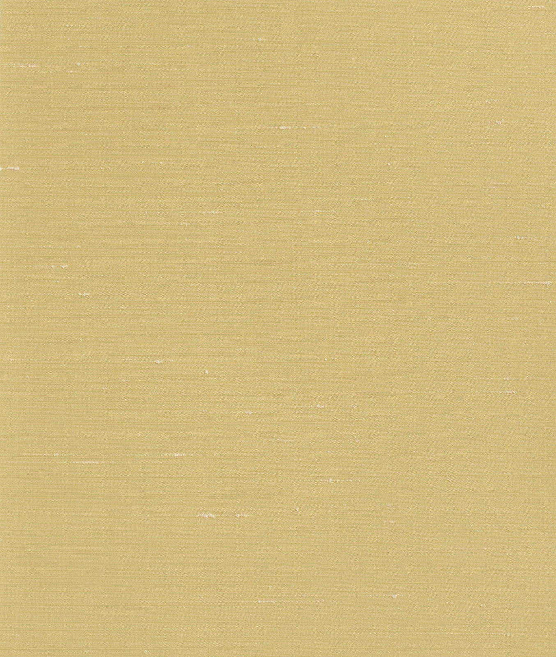 DEDAR | Sibilla Wall