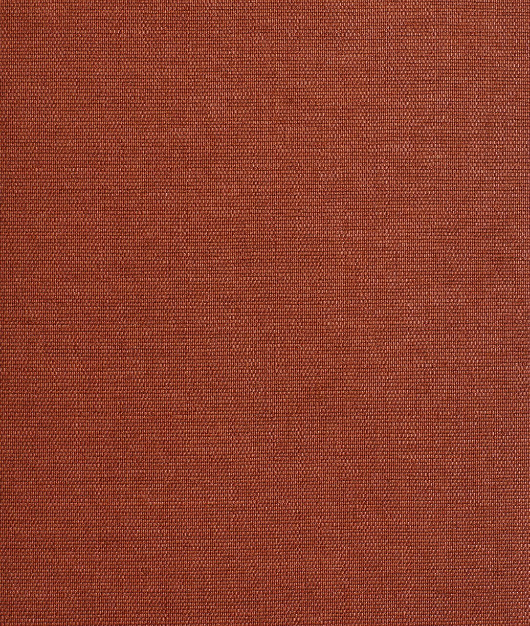 DEDAR | Didgeridoo Wall
