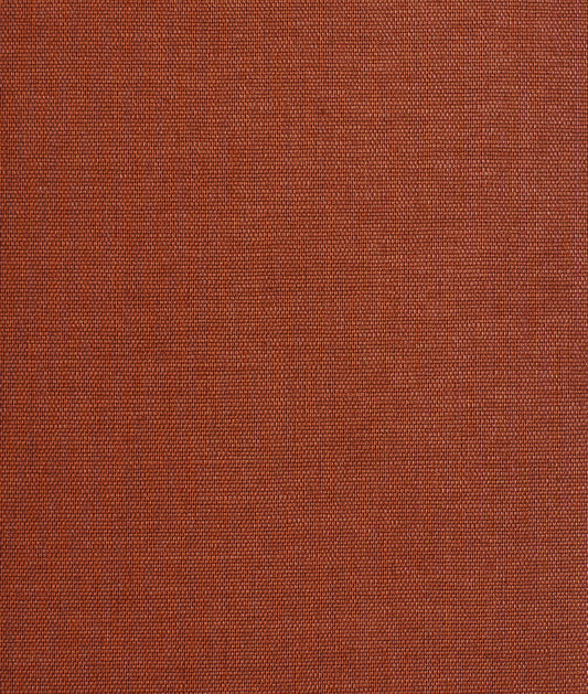 DEDAR | Didgeridoo Wall