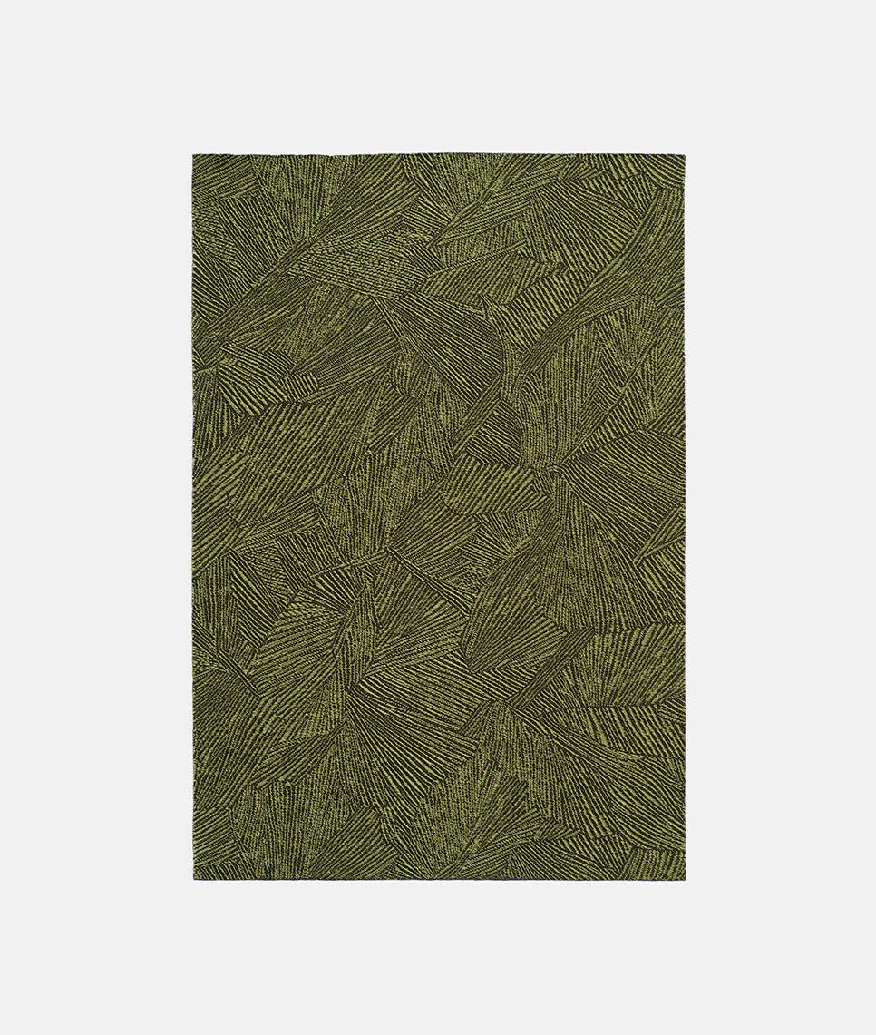 DEDAR | In Folio