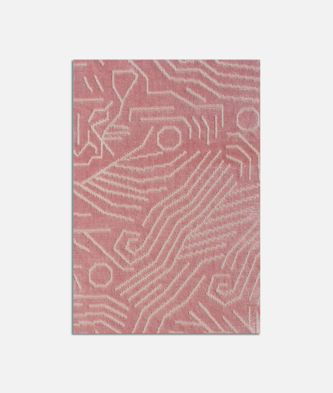 DEDAR | Darwinista