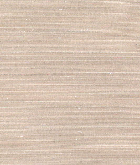 DEDAR | Drusilla Wall