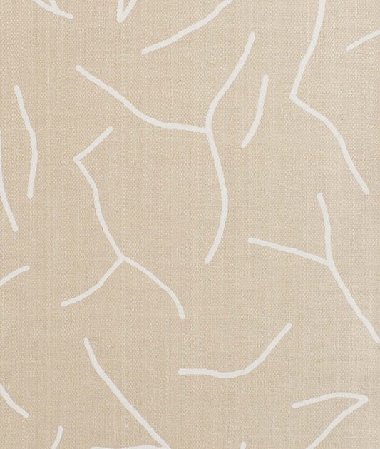 DEDAR | Goral Wall