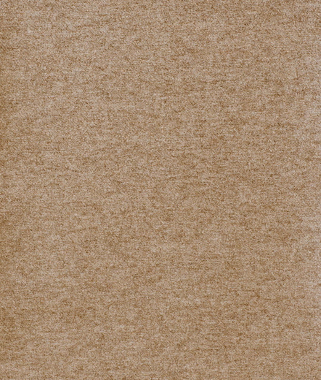 DEDAR | Queneau Wall