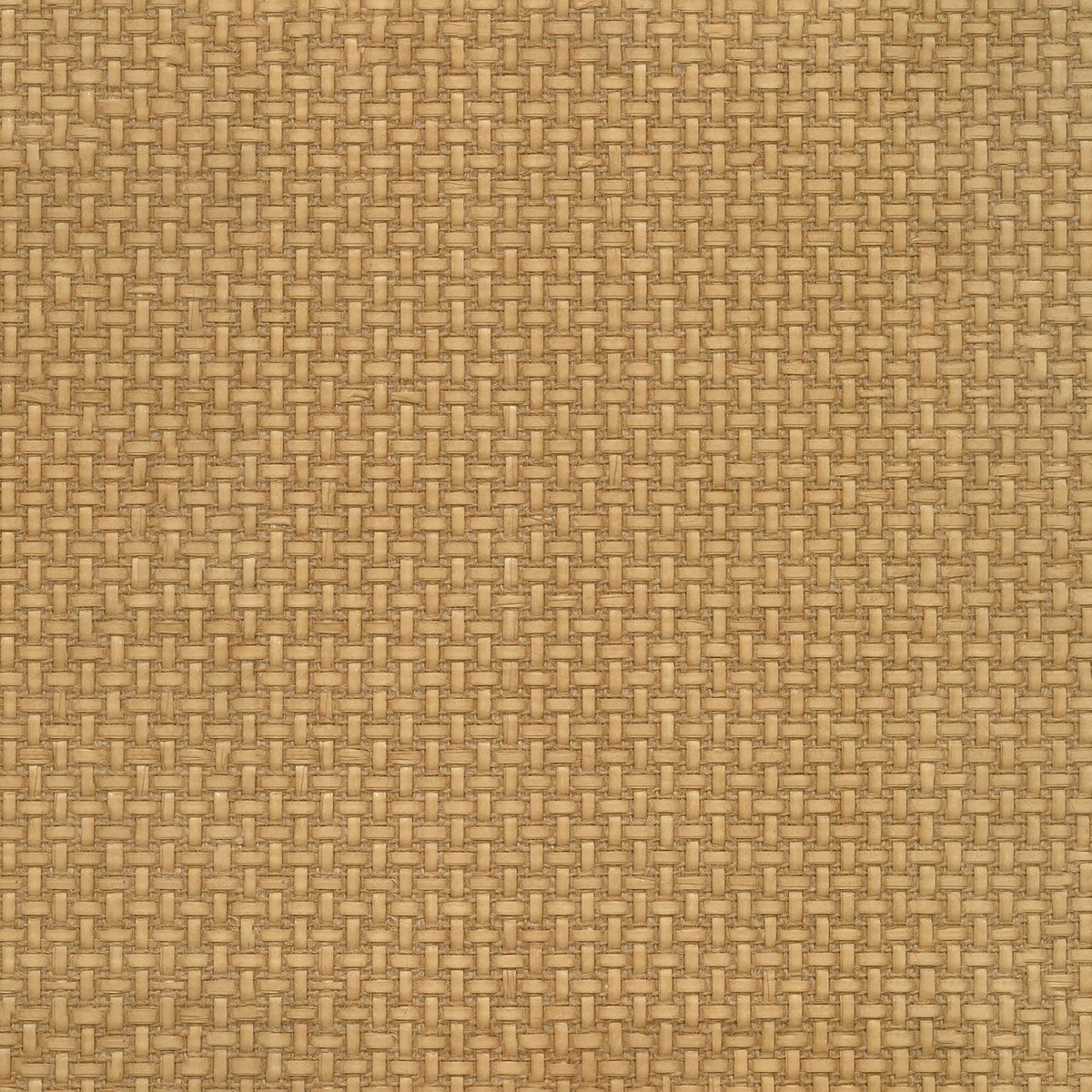 Casamance | Fibrosa wallcovering - Ambre