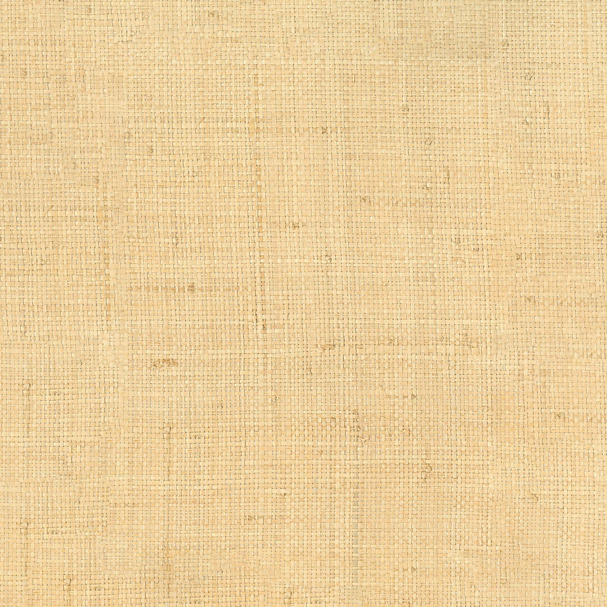 Casamance | Palawan wallcovering - Naturel Foncé
