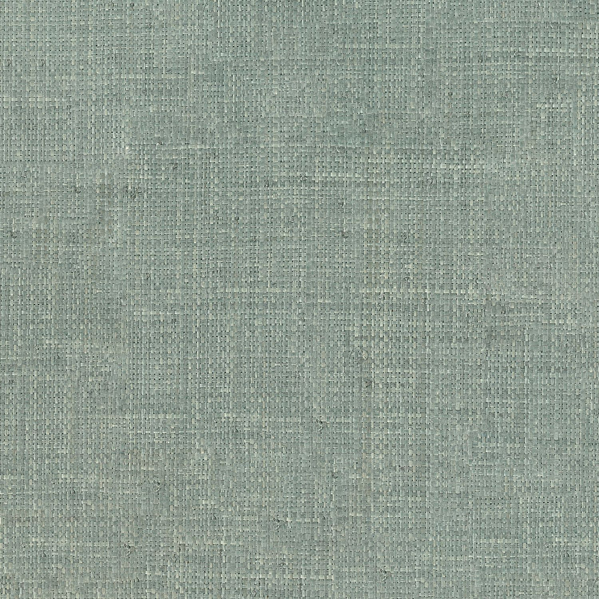 Casamance | Palawan wallcovering - Céladon
