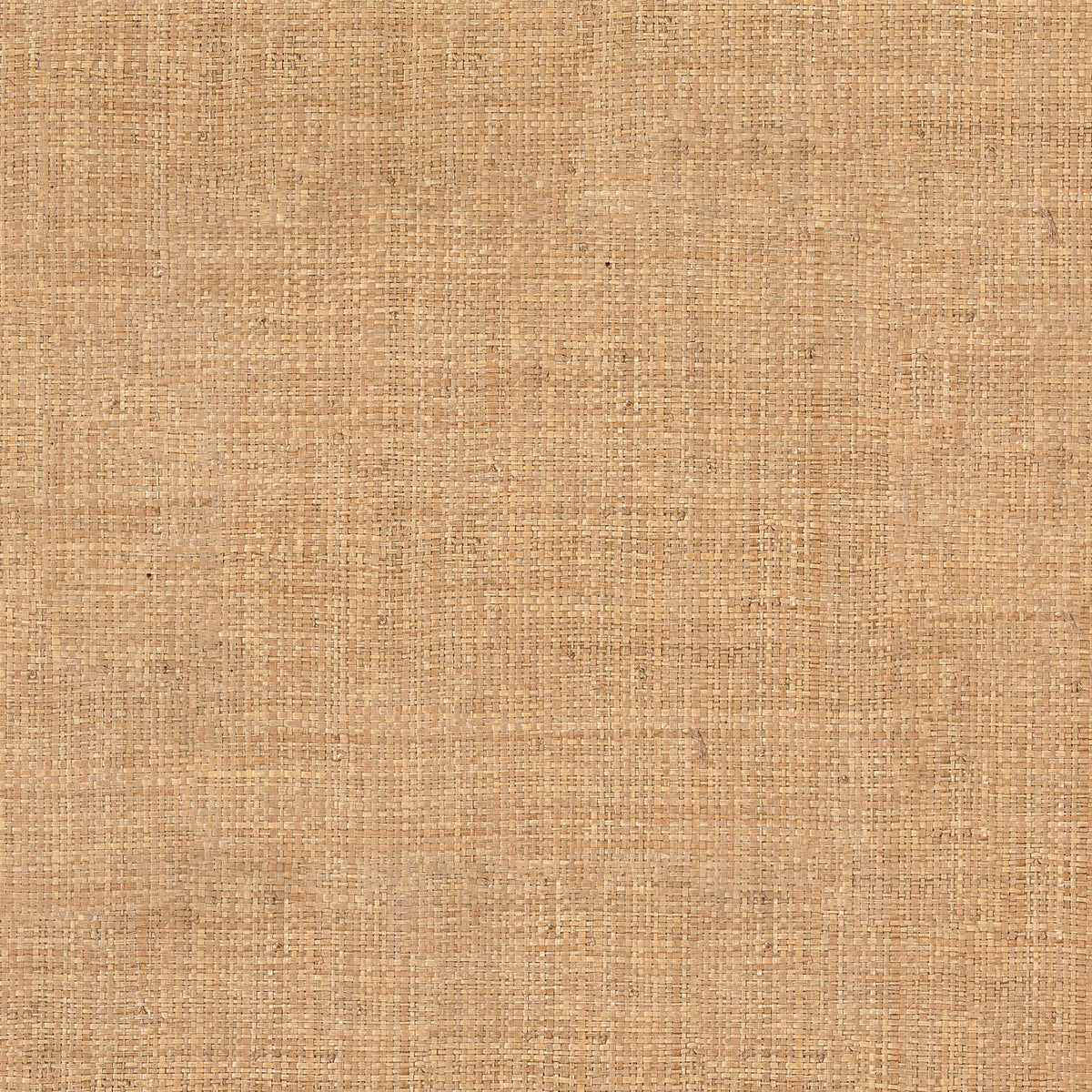 Casamance | Palawan wallcovering - Bois De Rose