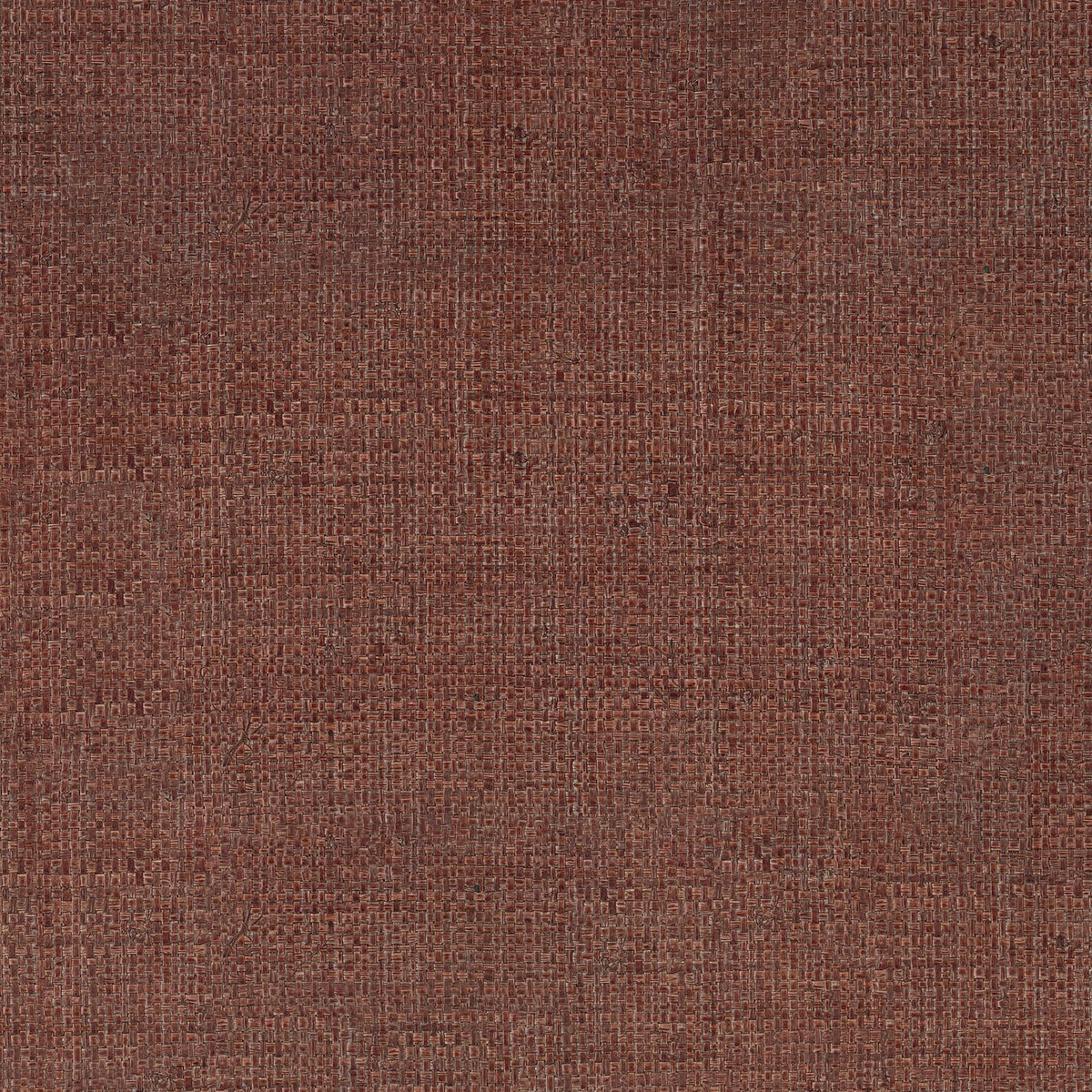 Casamance | Palawan wallcovering - Cédre Rouge