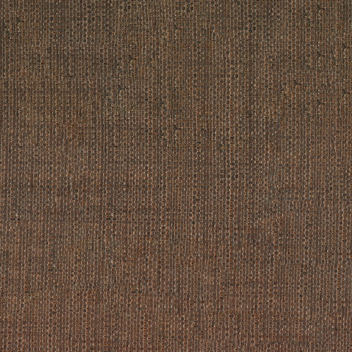 Casamance | Palawan wallcovering - Ébène