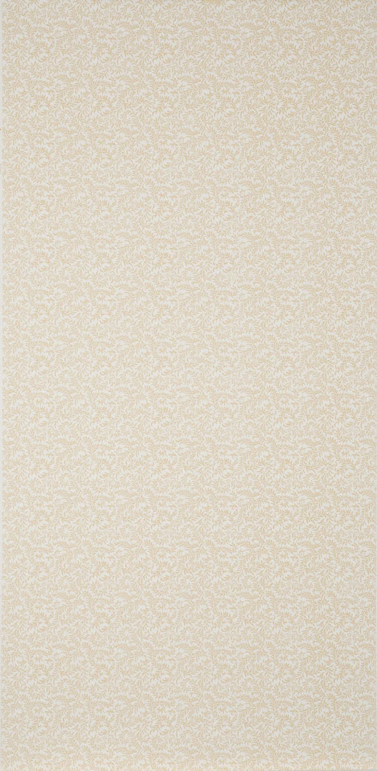 Pierre Frey Wallpaper Vermicule - Ochre