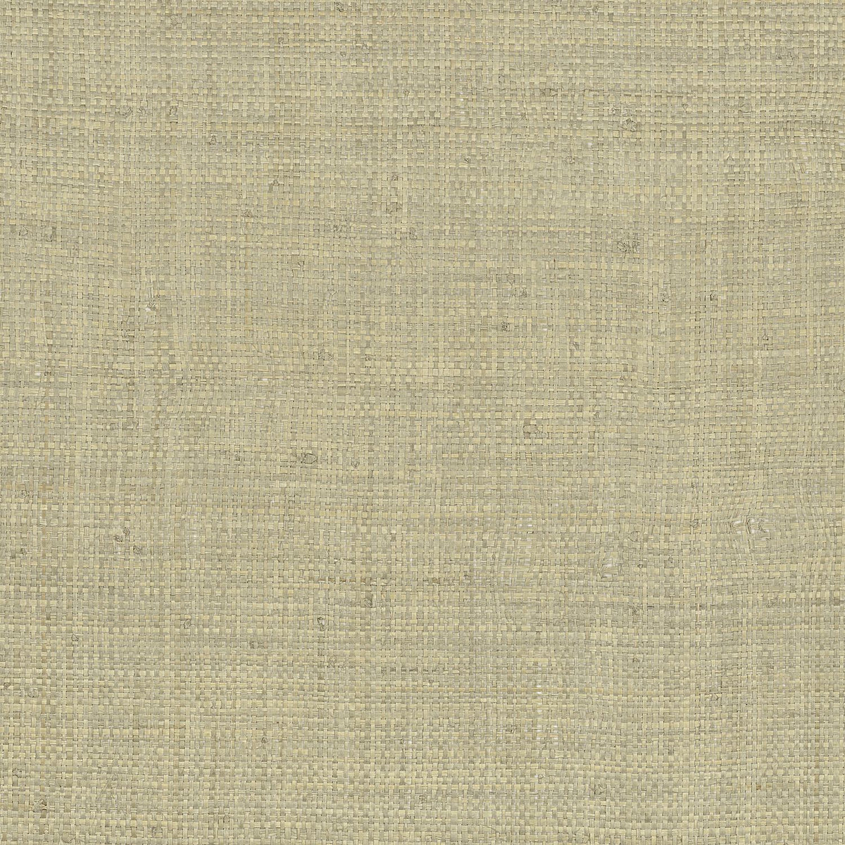 Casamance | Palawan wallcovering - Tilleul