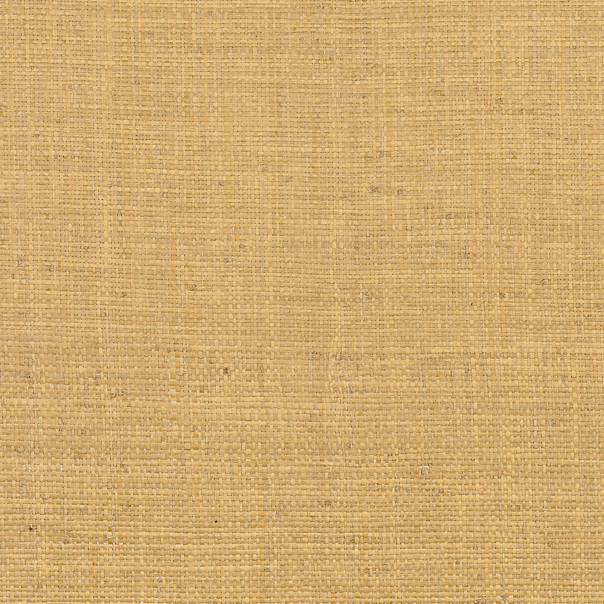 Casamance | Palawan wallcovering - Curry