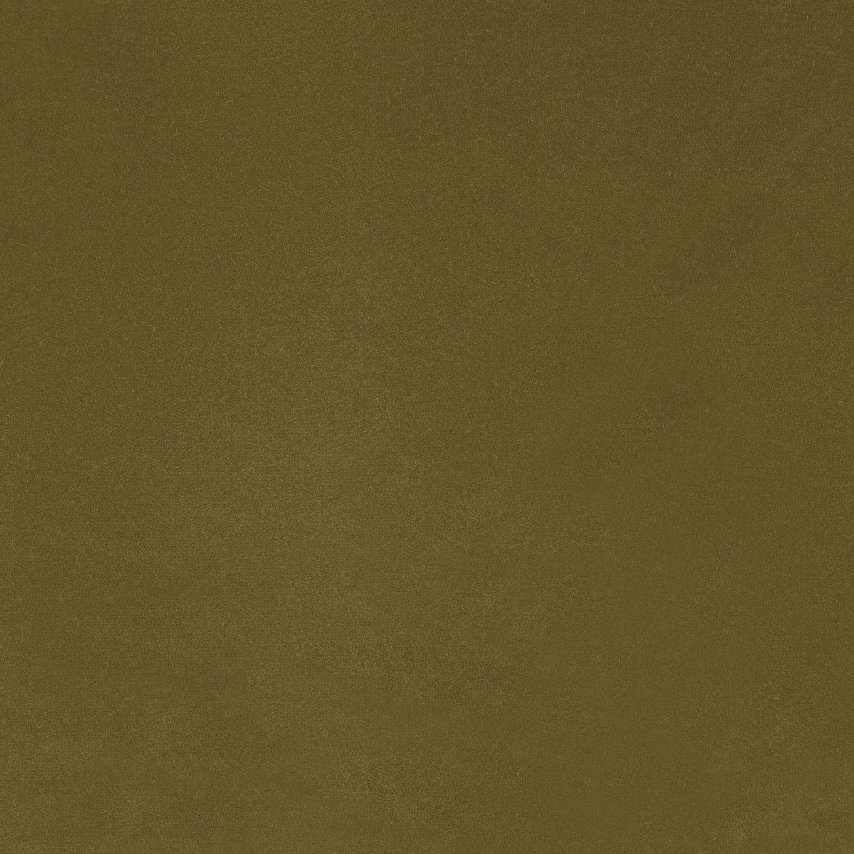 Casamance | Dolce Vita (Colours 34–65) fabric - Kaki Clair