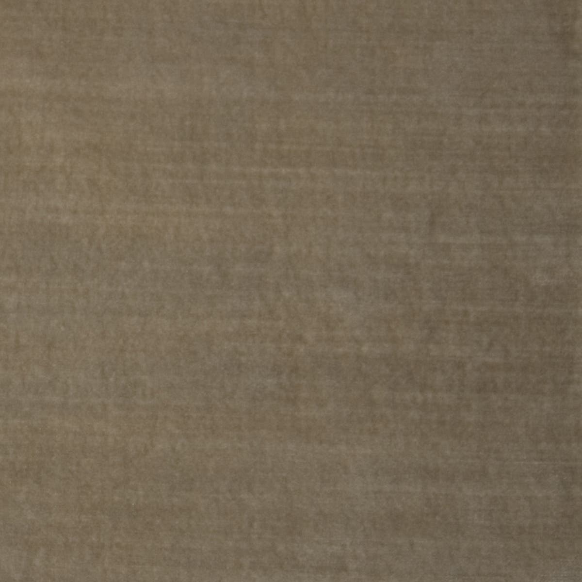 Rubelli Diso fabric - Naturale scuro