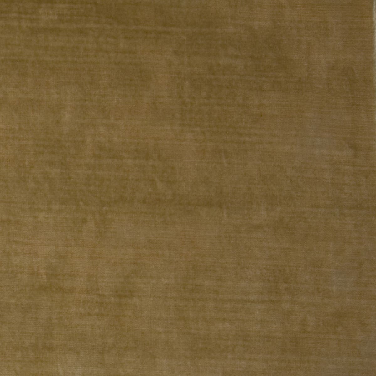Rubelli Diso fabric - Paglia