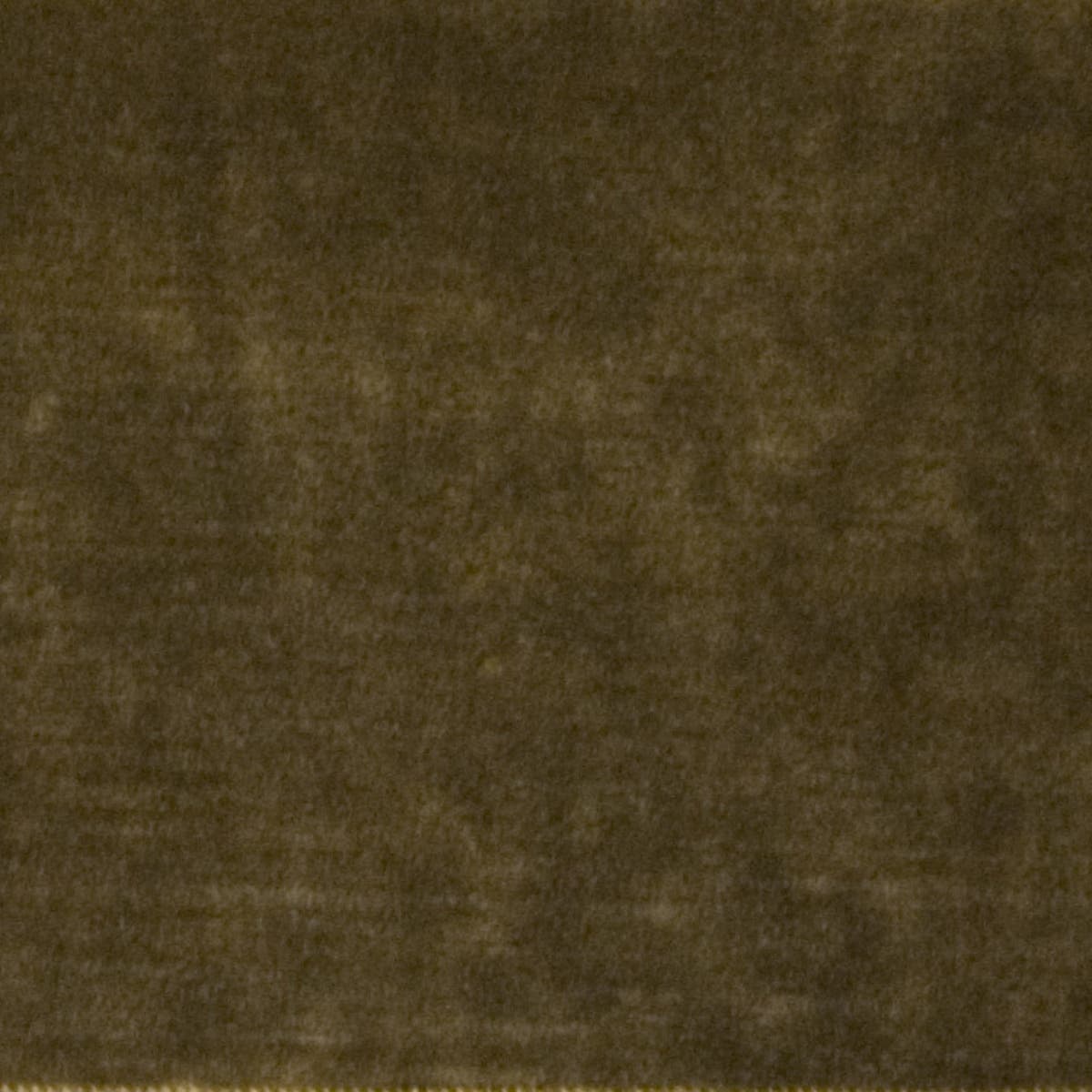 Rubelli Diso fabric - Olio
