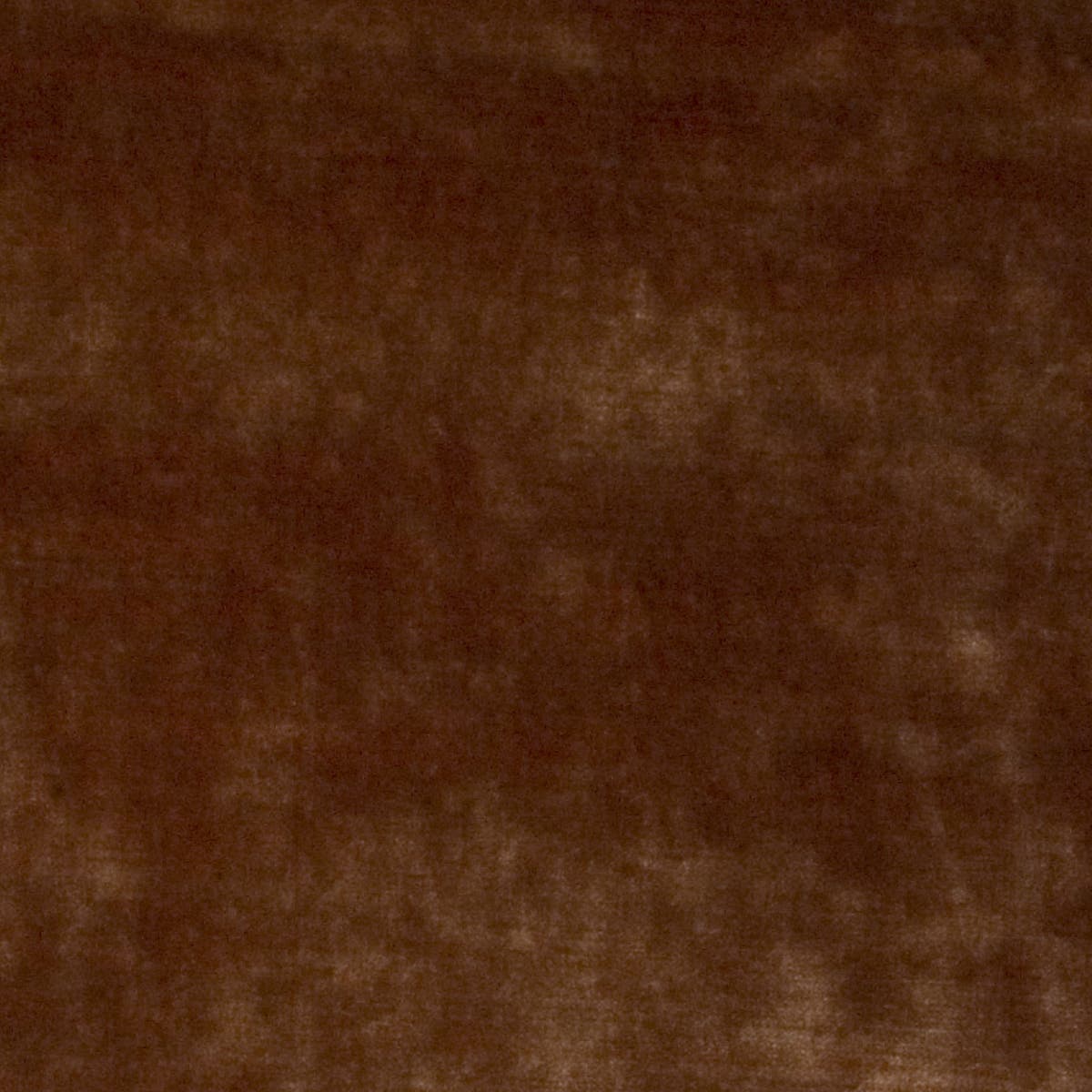 Rubelli Diso fabric - Ambra