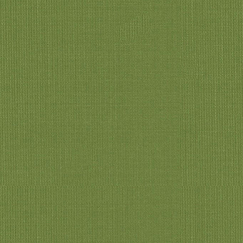 Schumacher | Sargent Silk Taffeta fabric - 22653