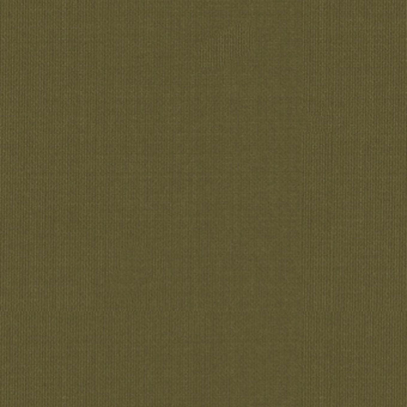 Schumacher | Sargent Silk Taffeta fabric - 22656