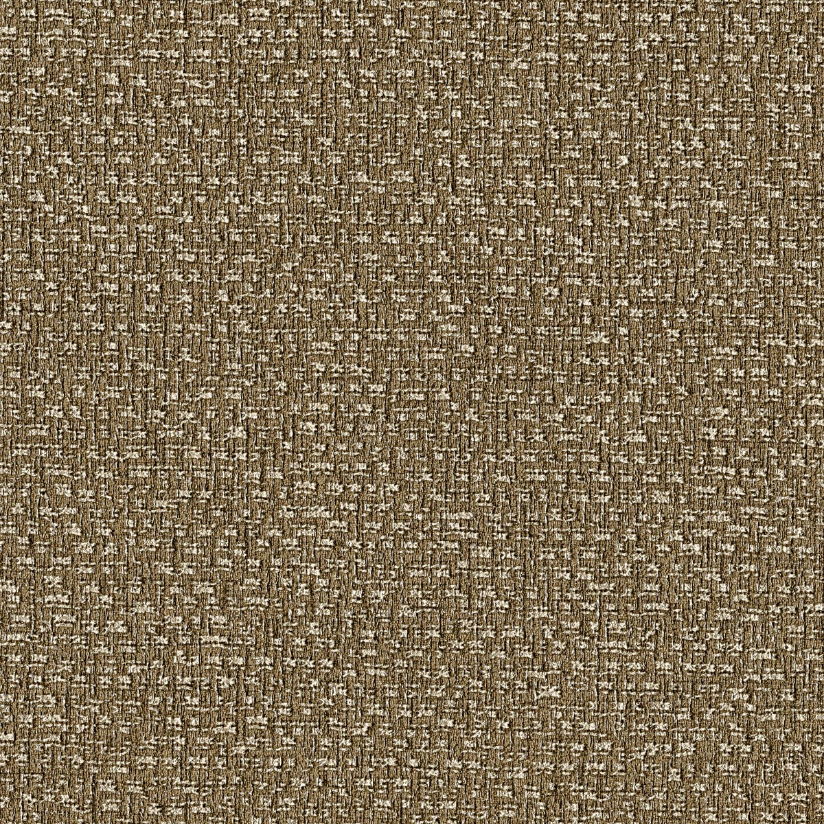 Rubelli Carlo Magno Wall wallcovering - Peltro