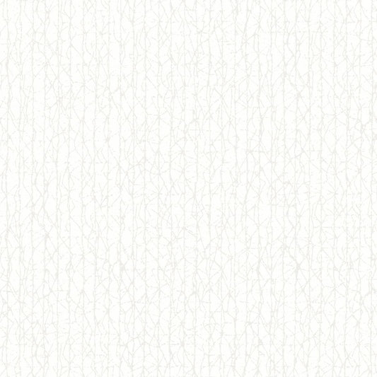 Rubelli Craquelé Wall wallcovering - Bianco