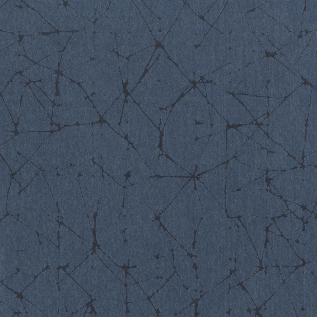 Rubelli Vermeer Wall wallcovering - Iris