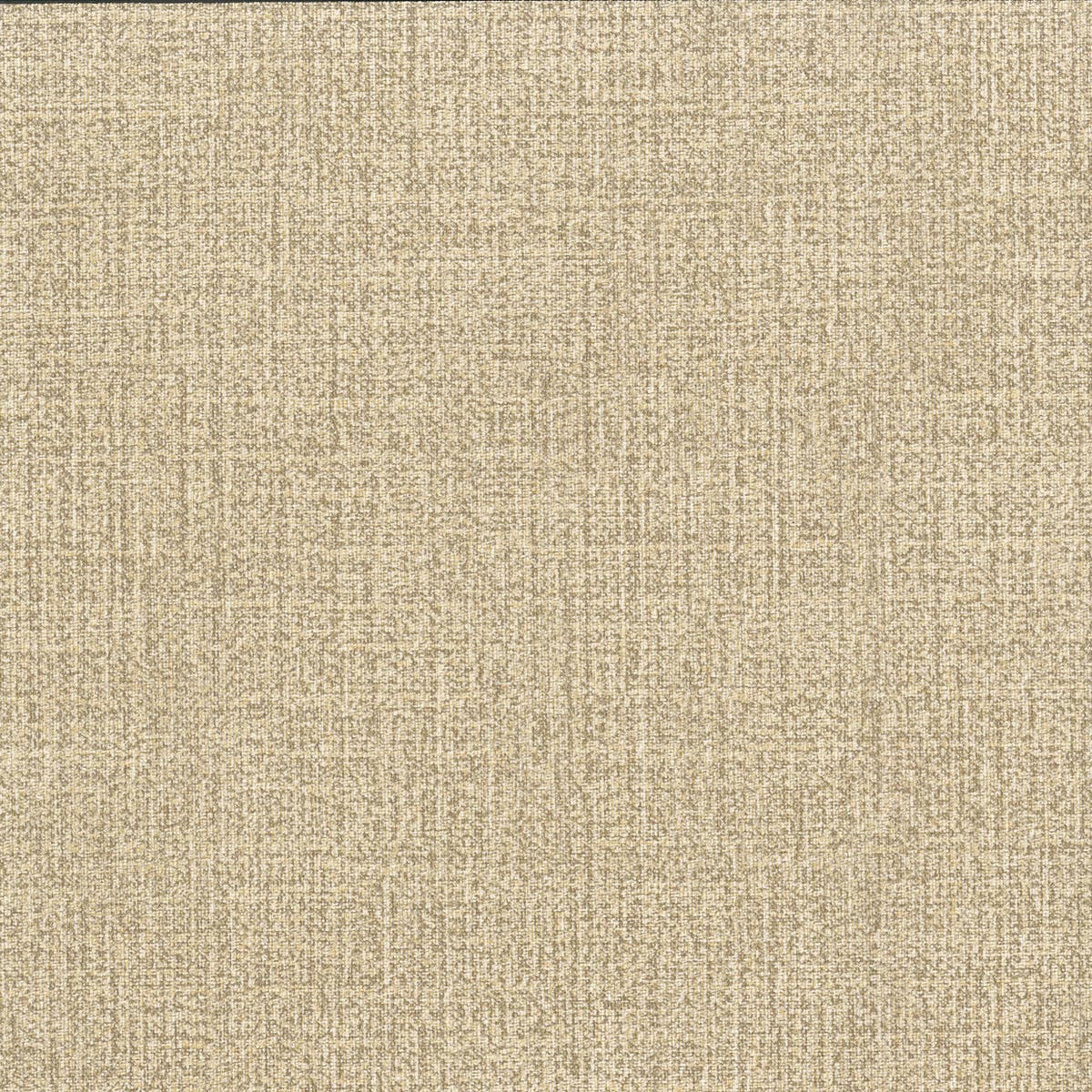 Rubelli Scratch Wall wallcovering - Sabbia