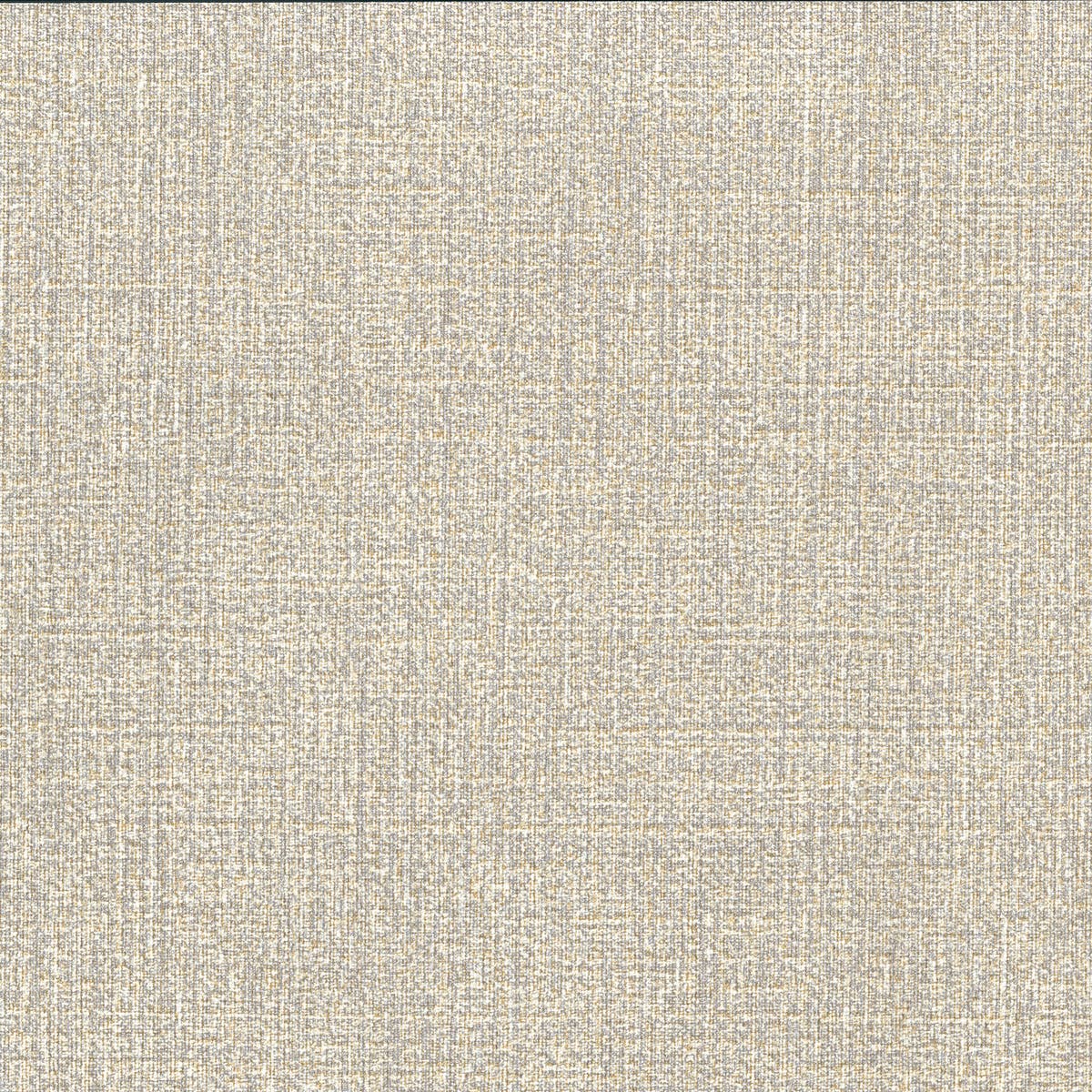 Rubelli Scratch Wall wallcovering - Pietra