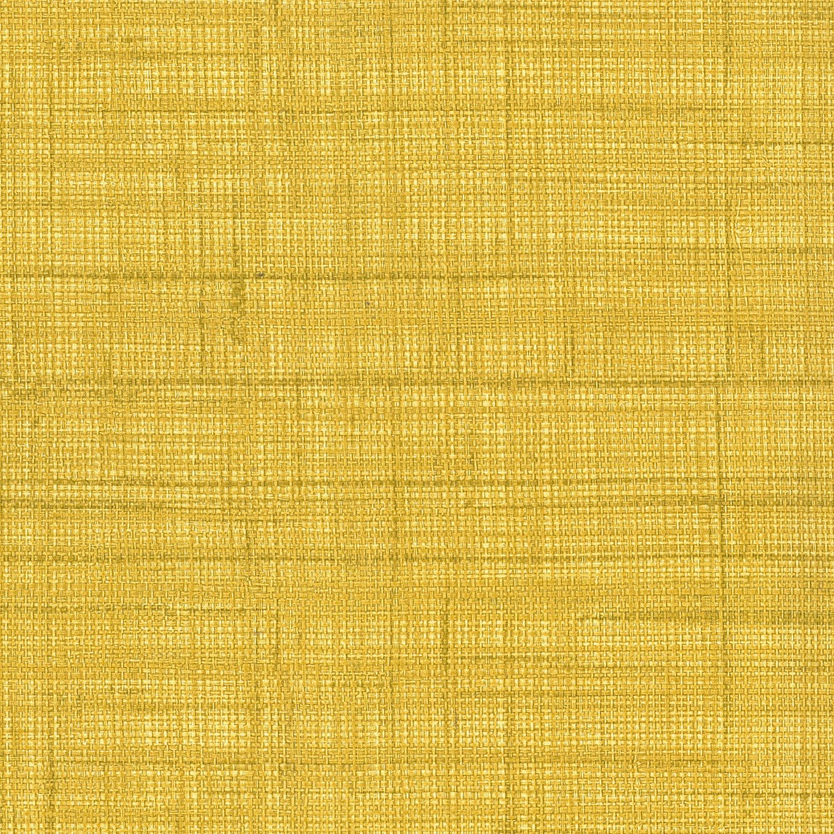 Rubelli Paja Wall wallcovering - Giallo