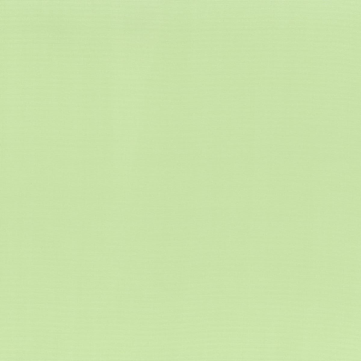 Rubelli Forget-me-not Wall Bespoke wallcovering - Lime