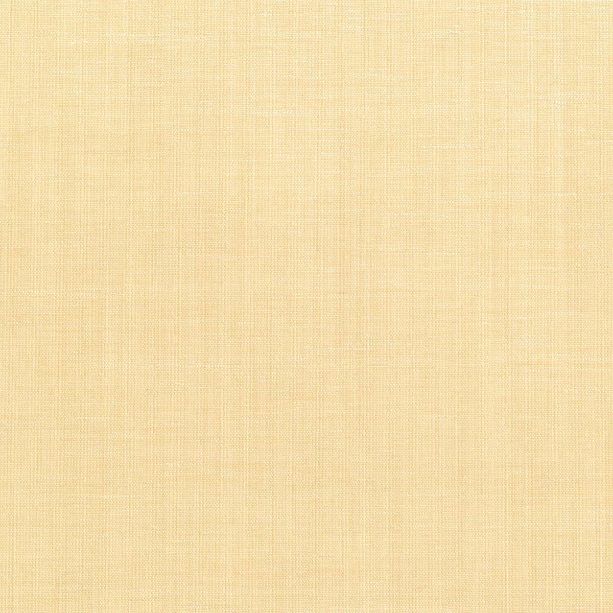 Rubelli Borneo Wall wallcovering - Polvere